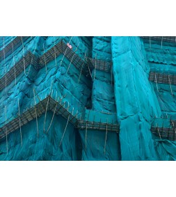 Teal Cocoon #2, Hong Kong